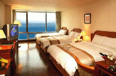 패밀리 트리플(광안대교오션뷰)